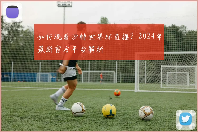 如何观看沙特世界杯直播？2024年最新官方平台解析