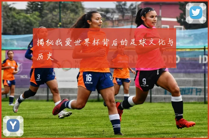 揭秘我爱世界杯背后的足球文化与历史