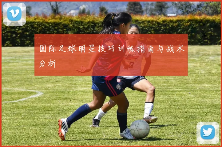 国际足球明星技巧训练指南与战术分析